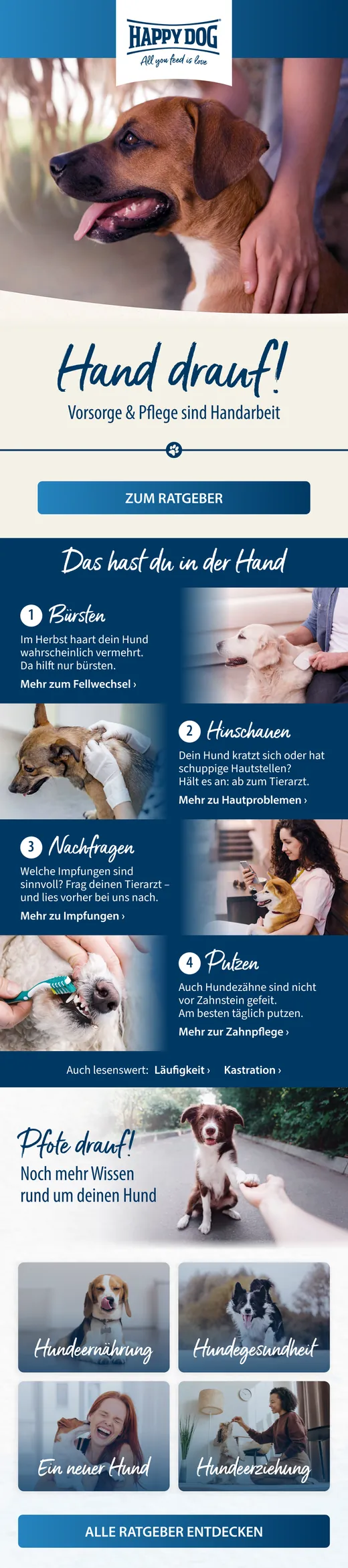 Newsletter von Happy Dog: Hand drauf! Vorsorge & Pflege