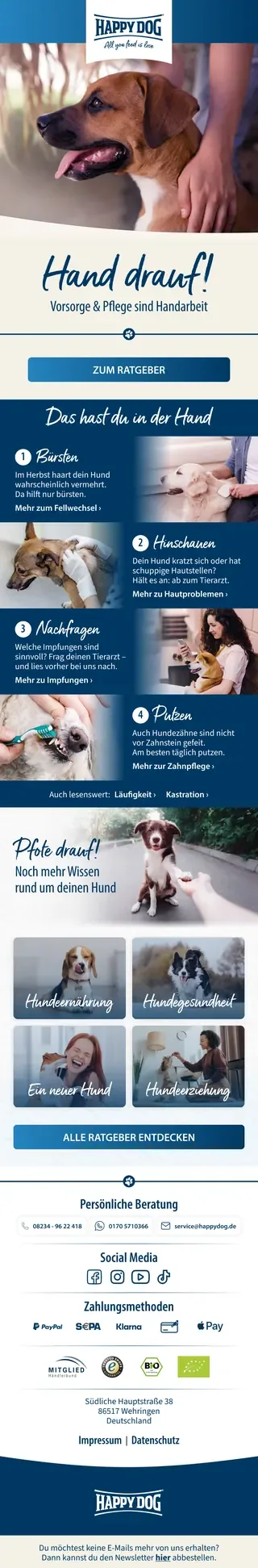 Newsletter from Happy Dog